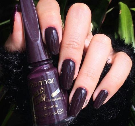 Dark Violet Nails Designs, Flormar Nail Polish, Nails Violet, Nail Paint Shades, Violet Nails, Makeup Nails Designs, Art Designs Ideas, Med Tech, Nail Art For Beginners