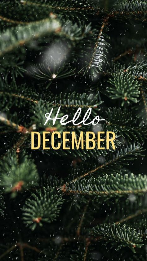 Hello December Instagram story template, editable text | premium image by rawpixel.com / nun Hello December Pictures, Hello December Images, December Images, December Pictures, Holiday Playlist, Its My Birthday Month, December Crafts, Hello November, Hello December