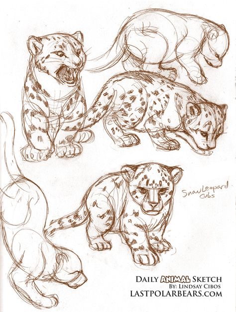 Daily Sketch Ideas, Leopard Illustration, Sketch Tips, Some Drawings, Leopard Cub, Daily Sketch, Animal Drawings Sketches, Cat Sketch, Animal Study