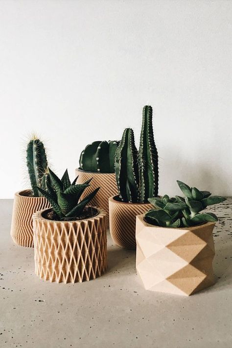 Diy Planters Indoor, Kaktus Dan Sukulen, نباتات منزلية, Planter Gift, Succulents Indoor, Succulent Terrarium, Wooden Planters, Cactus Y Suculentas, Garden Care