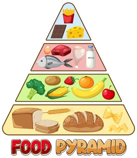 Food nutrition groups pyramid | Premium Vector #Freepik #vector #fat-cartoon #food-groups #food-clipart #carbs Best Chocolate Bundt Cake Recipe, Pyramid Illustration, Food Pyramid Kids, Nutrition Pyramid, Fat Cartoon, Nutrition Poster, Easy Custard, Cake Pizza, Cartoon Chef