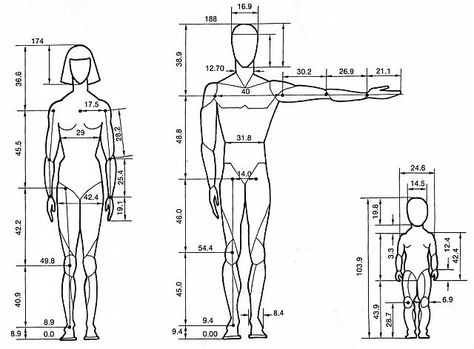 Body Measurements Board Human Dimension, Ergonomics Furniture, Graphisches Design, Anatomy Tutorial, Human Anatomy Drawing, Human Figure Drawing, Anatomy For Artists, Body Proportions, Anatomy Drawing