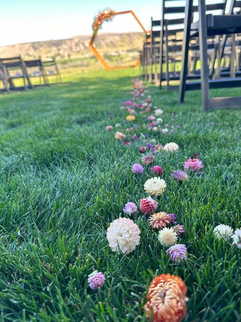 Colorful dried flowers to line the aisle for your wedding. Flower girls throw dried flowers instead of rose petals as well. Wildflower Petals Wedding Aisle, Wedding Aisle Dried Flowers, Petals Down Aisle Wedding, Dried Flower Aisle, Flower Lined Aisle Wedding, Ceremony Aisle Runner, Flower Confetti Wedding, Wedding Ceremony Aisle, Dried Flower Confetti