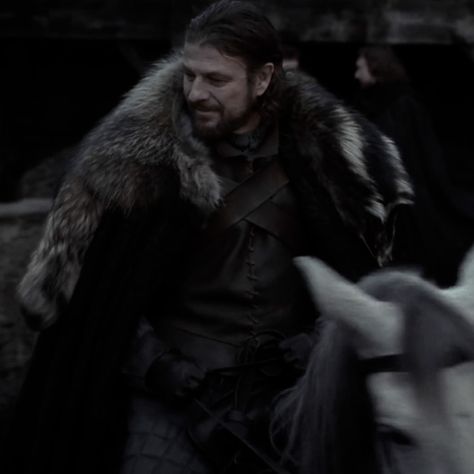 Winter Is Coming Stark, Middle Earth Shadow, Game Of Thrones Outfits, The Ned, Eddard Stark, Ned Stark, Robb Stark, Sean Bean, Dragon House