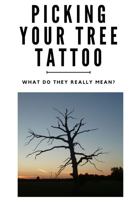 Check out a quick visual guide to see tree tattoos and their meanings. Oak Tattoo Tree, Yew Tree Tattoo, Tree Branch Tattoos For Women, Dna Tree Tattoo, Oak Tree Leaf Tattoo, Ash Tree Tattoo, Sequoia Tree Tattoo, Poison Tree Tattoo, Tree Tattoos For Women