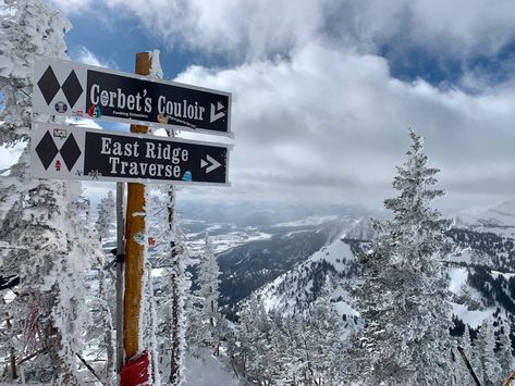 Black Diamond Ski, Jackson Hole Skiing, Ski Sign, Skiing Aesthetic, Aesthetic Snow, Ski Aesthetic, Jackson Hole Wy, Ski Hill, Ski Club