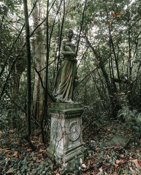 Alice’s Tea Party In The Garden Of Delirium — Beautiful Old Italian Greenhouse Overgrown With... Shiv Girl, Gothic Greenhouse, Party In The Garden, Children Of The Corn, Gothic Garden, Sundials, Faux Flower Arrangements, Solar Lanterns, Creative Gardening