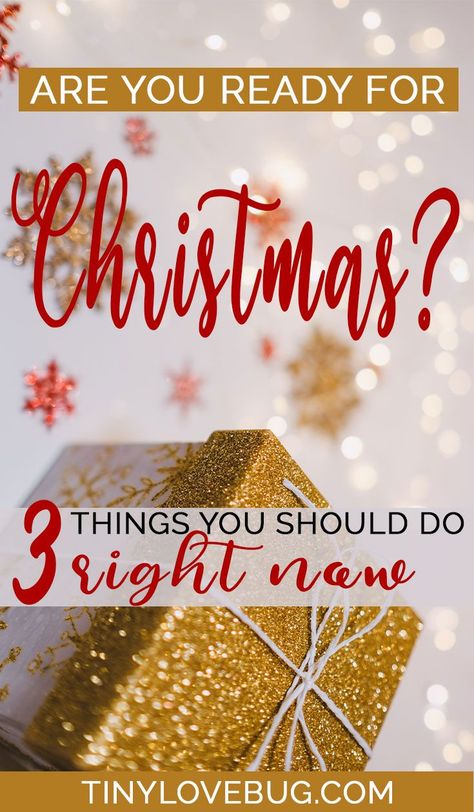 Christmas Dinner Hosting, 100 Days Until Christmas, Alone On Christmas, Christmas Planning Checklist, Planning For Christmas, Dinner Hosting, Christmas Checklist, Prepare For Christmas, Christmas To Do List