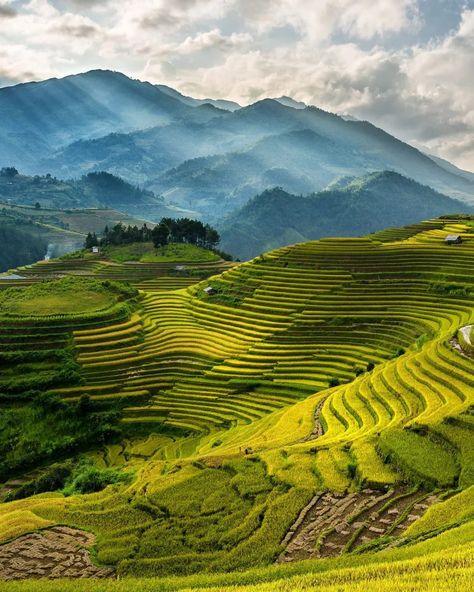 The town of Sapa in the northwestern region of Vietnam is the perfect base for enjoying breathtaking views of incredible valleys, with rice terraces blanketing the slopes from misty peaks down to rushing streams. The best time to visit Sapa is before the local harvest season between mid-August to early September. Find out more about the best times to visit Vietnam's many scenic towns with our insider guide at the link in bio. 🔗 ✏️ : Chris Schalkx 📷 : Getty Images Vietnam Sapa, Banaue Rice Terraces, Vietnamese Rice, Banaue, Sapa Vietnam, Visit Vietnam, Rice Terraces, Harvest Season, Vietnam Travel