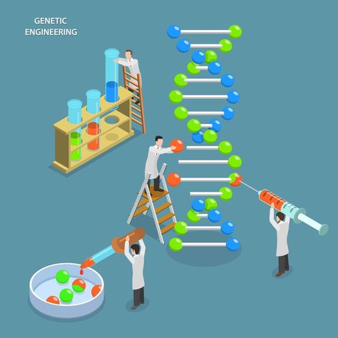 Senior T Shirt Designs, Genetics Project, Science Mural, Dna Poster, Stem Biology, Biotechnology Art, Science Lab Decorations, Bio Project, Lab Decorations