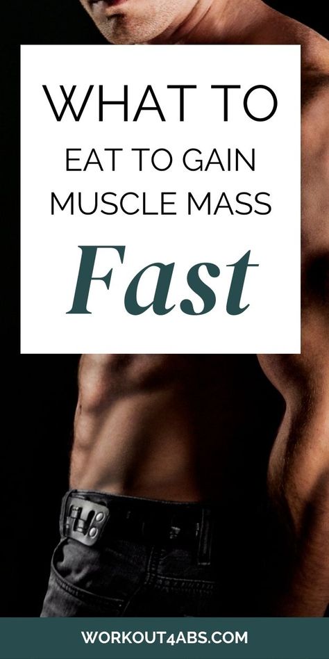 Food to Gain Muscle Mass - Workout4Abs Eating To Gain Muscle, Muscle Gain Diet, How To Gain Muscle, Nutrient Dense Smoothie, Food To Gain Muscle, Gain Mass, Protein To Build Muscle, Gain Muscle Mass, Protein Intake