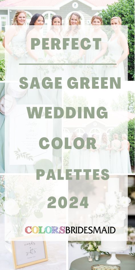 Wedding Palette Sage Green, Eucalyptus Color Wedding Theme, Sage Fall Wedding Colors, Green Blush Wedding Theme, Wedding Color Palette Olive Green, Spring Sage Green Wedding, Color Palette For Sage Green Wedding, Bridesmaid Dresses Green Sage Color Palettes, Weddings Sage Green