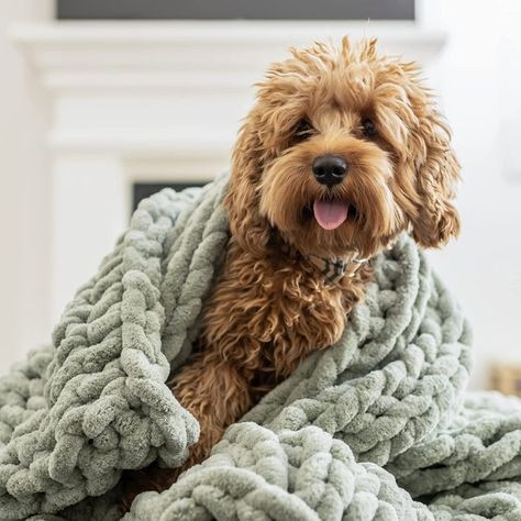 Green Chunky Knit Blanket, Thick Knitted Blanket, Owl Preschool, Large Knit Blanket, Braid Blanket, Knot Blanket, Cable Knit Blankets, Boho Throw Blanket, Chunky Knit Throw Blanket