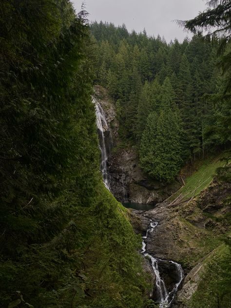 A photo of a waterfall in a forest of evergreens. The sky is gloomy and cloudy. Hiking in Washington. Washington Forest Aesthetic, Portland Forest, Pacific Northwest Hiking, Washington Forest, Pacific Northwest Forest, Hiking Waterfall, Washington Hiking, Washington Nature, Green Clouds