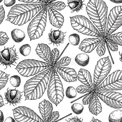 Leaves Line Drawing, Chestnut Leaf, Autumn Vector, Seasonal Decor Fall, Botanical Elements, Chestnut Trees, Leaves Illustration, Leaf Drawing, Decoration Vintage