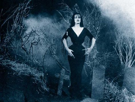 Google Images My friend @simonjay did a post featuring Vampira, the old TV host of horror films in Los Angeles. She… by richq11 Maila Nurmi, Vampire Photo, The Babadook, Ed Wood, Famous Monsters, Evil Dead, Tv Land, Classic Horror Movies, Horror Icons