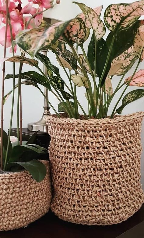 How to Use Gorgeous Baskets as Planters for your Indoor Garden