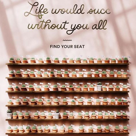 "Life would succ without you all". Succulent wedding seating chart at an outdoor wedding. Find Your Seat, Bridal Guide, Wedding Essentials, Brides Magazine, Seating Chart Wedding, Green Wedding Shoes, Wedding Seating, Seating Chart, Seating Charts