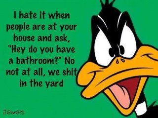 Do you have a bathroom? No. We shit in the yard! Duck Quotes, Health Humor, Elmer Fudd, Funny Duck, Duck Dynasty, Daffy Duck, Chronic Pain, Looney Tunes, Bones Funny