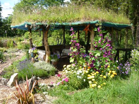 We live in the West of Ireland. It rains a lot here and we wanted somewhere to sit under cover in the garden. After we built our Gazebo, we discovered it was also a lovely place to sit in the shade… Garden Shelter Ideas Diy Cheap, Garden Rain Shelter, Diy Garden Shelter, Garden Shelter Ideas Diy, Magical Landscaping, West Ireland, Small Structures, Garden Shelter, Garden Themes