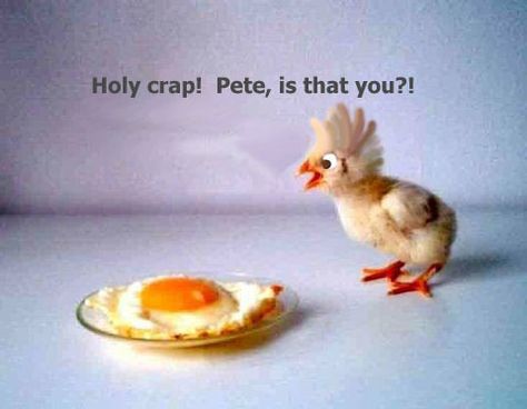 Holy crap! Pete, is that you? Funny Easter Jokes, Easter Jokes, Easter Quotes, Easter Humor, Friday Humor, Bones Funny, The Words, Make Me Smile, I Laughed