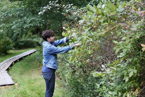 How to Create a Fall Floral Arrangement With Foraged Foliage | Vogue Fall Foilage, Fall Floral Arrangement, Fall Flower Arrangements, Grave Decorations, Fall Floral Arrangements, Fall Arrangements, Fall Floral, Fall Flowers, Floral Arrangement