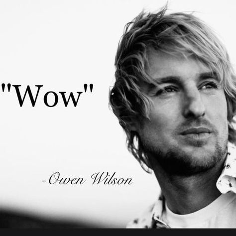 Image result for owen wilson wow meme Wow Meme, Brilliant Quote, Full Quote, Owen Wilson, Insightful Quotes, Some Text, Silly Me, New Quotes, Beautiful Words