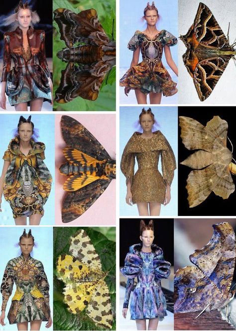 Alexander McQueen                                                                                                                                                                                 Mehr Moth Faerie, Space Presentation, Recycle Dress, Avangard Fashion, Nature Inspired Fashion, Savage Beauty, Alexander Mcqueen Fashion, Mc Queen, Mcqueen Fashion