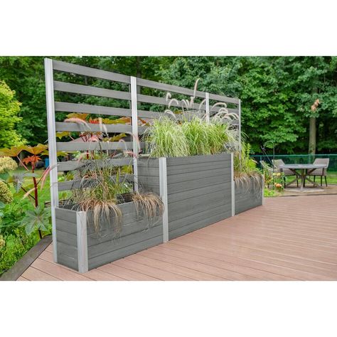 Vita Urbana Composite Planter box with Trellis | Wayfair.ca Modern Planters Outdoor, New England Arbors, Planter Box With Trellis, Wood Arbor, Outdoor Planter Boxes, Decorative Plants, Climbing Flowers, Railing Planters, Barrel Planter