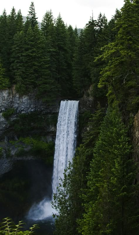 Fjord Aesthetic, Waterfall Aesthetic, Dark Forest Aesthetic, Pretty Landscapes, Aesthetic Photography Nature, Nature Aesthetic, Pretty Places, Sky Aesthetic, In The Woods