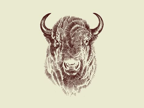 Bison Bison Illustration, Watercolor Buffalo, Bison Tattoo, Buffalo Tattoo, Buffalo Animal, Bison Art, Bison Skull, Buffalo Art, Bull Tattoos