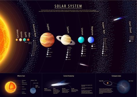 Solar System Details with Kuiper Belt (Photo Credit: shooarts / Fotolia) Space And Planets, Oort Cloud, Solar System Poster, Kuiper Belt, Planet Poster, Planet For Kids, Asteroid Belt, The Solar System, Bruce Willis