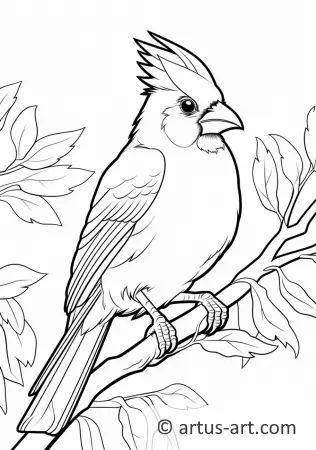 Awesome Northern cardinal Coloring Page For Kids » Free Download » Artus Art Cardinal Birds Art, Black And White Birds, Tree Coloring Page, Bird Coloring Pages, Bird Book, Animal Book, Bird Pictures, Bird Patterns, Bird Drawings