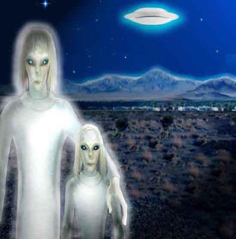 Latest Ufo Sightings, Latest Ufo, Grey Alien, Arte Alien, Space Aliens, Aliens And Ufos, Alien Races, Close Encounters, Ancient Mysteries