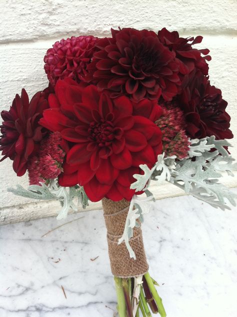 Deep red dahlia mini bouquet Event Designs by Katherine Red Dahlia Bouquet, Dalia Bouquet, Burgundy Weddings, Dahlia Wedding Bouquets, Dahlias Wedding, Black Bouquet, Dahlia Bouquet, Red Dahlia, Red Bouquet Wedding