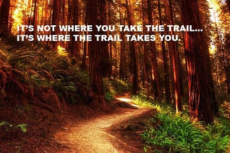 I am so looking forward to the North Face Marathon 6/1/13. Trails baby! Trail Quotes, Cabin Quotes, Trails Quotes, Cabin Quote, Trail Running Quotes, Trail Running Inspiration, Stairs Porch, Road Quotes, Ragnar Relay