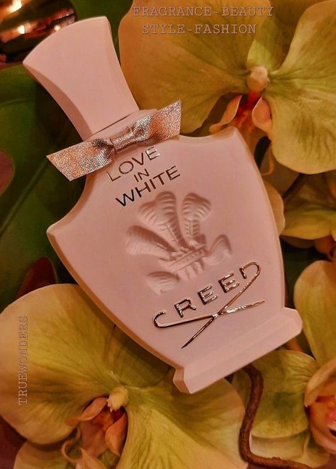 Creed Love In White, White Feed, Perfume Display, Luxury Perfumes, Perfume Collection Fragrance, Luxury Perfume, Perfume Collection, Inner Child, Display Ideas