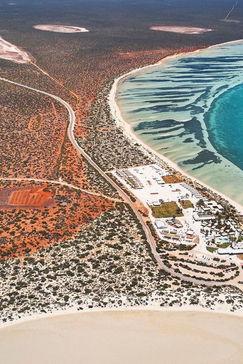 Shark Bay Western Australia, Best Place To Travel, Place To Travel, The Zone, Pure Water, Vision Boards, Life Is Short, Western Australia, Heritage Site