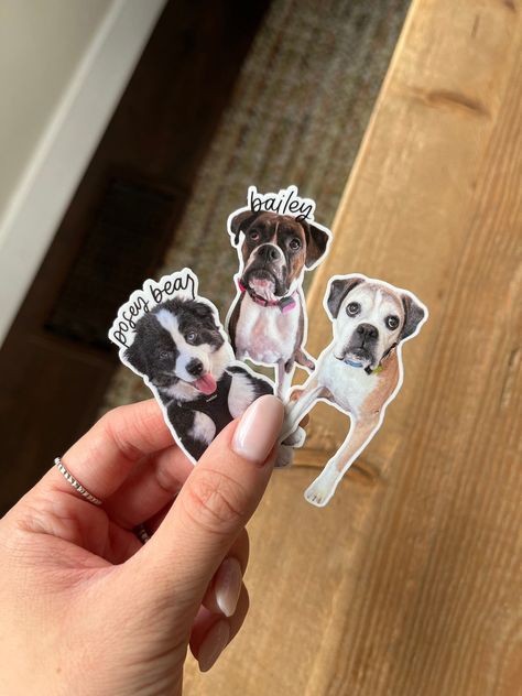 Pet stickers for dog, cat, pet party favors & gifts. #petstickers #dogstickers #catstickers #petpartyfavors . #San_Jose #Dog_Celebration_Of_Life_Party #Pet_Party #Pet_Birthday Custom Hard Hats, Custom Wall Stickers, Pet Party, Hard Hat Stickers, Pet Birthday, Pet Stickers, Personalized Pet Gifts, Custom Sticker, Photo Stickers