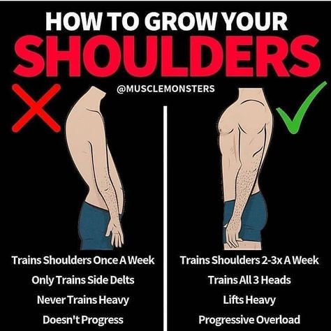 ⏲Gym Tips Posted Every Day!⏲ on Instagram: “🔥𝗛𝗢𝗪 𝗧𝗢 𝗕𝗨𝗜𝗟𝗗 𝗬𝗢𝗨𝗥 𝗦𝗛𝗢𝗨𝗟𝗗𝗘𝗥𝗦! Follow @TheTrainingManual for More!📚 . 💪🏼SAVE THIS TO REVIEW LATER!🔰Tag a friend who needs to see this!🙋🏻‍♂️…” Compound Lifts, Shoulder Training, Gym Workout Chart, Gym Video, Gym Tips, Trening Fitness, Cardio Routine, Big Shoulders, Workout Chart