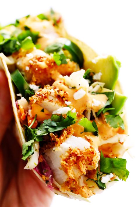 The BEST fish taco recipe!! These fish tacos are made with crispy baked Panko-crusted fish, cilantro lime slaw, chipotle crema, avocado, and whatever other toppings you love most! They're also easy to make gluten-free and dairy-free if you would like, and SO DELICIOUS. | gimmesomeoven.com #fish #tacos #healthy #mexican #dinner #glutenfree Best Fish Taco Recipe, Baked Fish Tacos, Fish Taco Recipe, Crusted Fish, Lime Slaw, Chipotle Crema, Cilantro Lime Slaw, Fish Taco, Fish Tacos Recipe