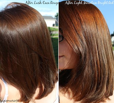 Light Mountain Bright Red Henna Hair Dye Review   Pictures Natural Hair Color Chart, Red Henna Hair, Teal Hair Color, Henna Hair Dye, Cinnamon Hair Colors, Light Red Hair, Easy Hair Color, Peach Hair Colors, Red Henna