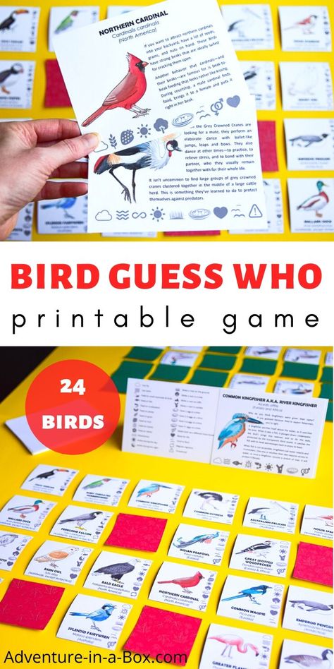 What Bird Am I is a printable game of bird deduction, where players are attempting to deduce the identity of their opponents's bird, by asking questions and using a key of twenty four birds. #homeschool #stemeducation #homeschooling #birds Birds Of Prey Unit Study, Bird Bingo Free Printable, Bird Games For Kids, Bird Activities For Kids, Bird Games, Bird Activities, Kids Gratitude Journal, Gratitude Journal For Kids, Birds For Kids