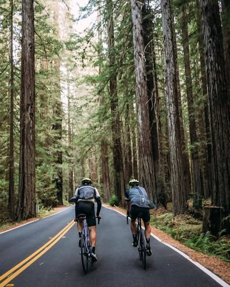 Cycling Vision Board, Cycling Asethic, Vision Board Cycling, Cycling Couple, Couple Cycling, Cycling Aesthetic, Family Cycling, Avenue Of The Giants, Road Biking