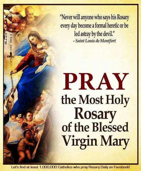 #stlouisdemontfort Lady Of Rosary, Fatima Prayer, Catholic Devotions, Our Lady Of The Rosary, Lady Of The Rosary, Easter Prayers, Pray The Rosary, Jesus Mother, The Madonna