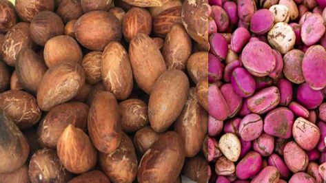 What is the Difference Between Bitter Kola and Kola Nut? Nut Benefits, Kola Nut, Sources Of Carbohydrates, Low Blood Sugar Levels, Lemon Benefits, Caffeine Content, What Is The Difference Between, Central Nervous System, Lower Blood Sugar