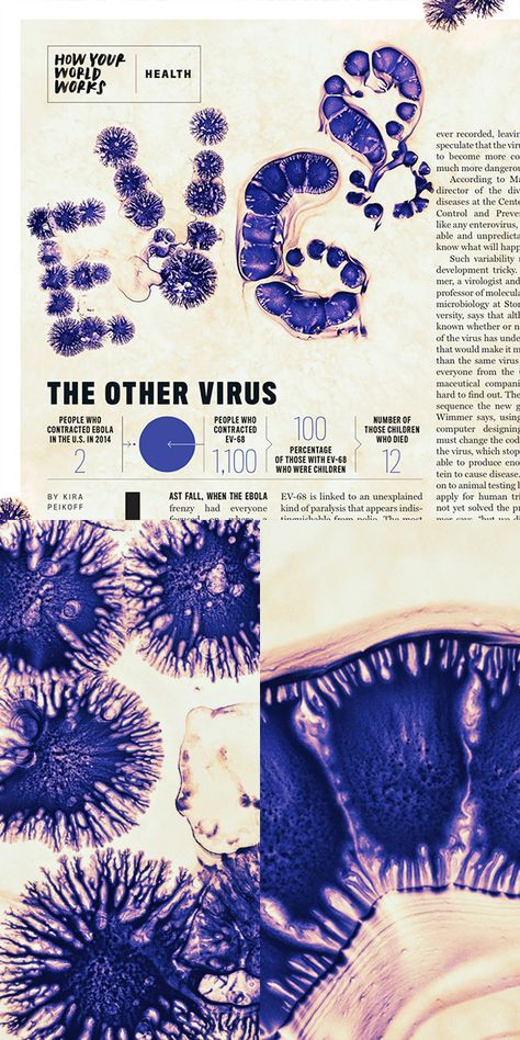 VIRUS typography Typography set # 3 Graphic Design Cv, Presentation Board Design, Bio Art, Graphic Design Photoshop, Grafic Design, Typographic Design, Science Art, Design Graphique, Graphic Design Typography