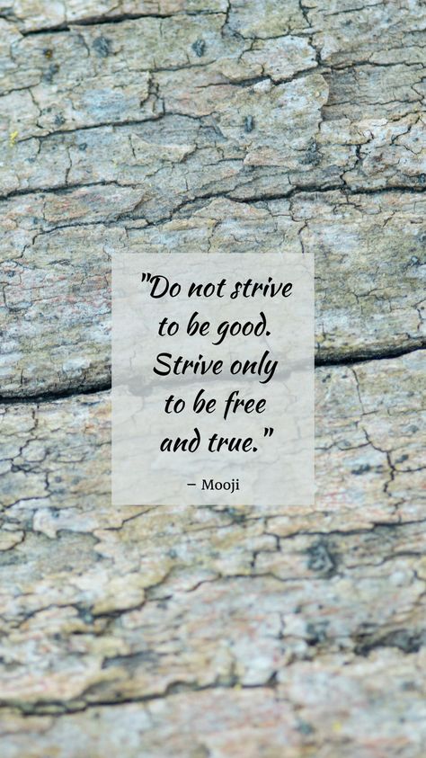 "Do not strive to be good. Strive only to be free and true." - Mooji #mooji #moojiquotes #advaita Mooji Quotes, Carl Jung, Be Free, Wisdom Quotes, Mindfulness, Collage, Quotes, Pins, Quick Saves