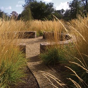 Gravel Garden, Grasses Garden, Native Garden, Landscaping Tips, Garden Seating, Ornamental Grasses, Modern Exterior, Outdoor Ideas, Landscape Architect