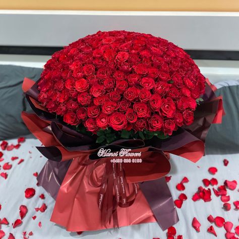 Bouquet of 200 red roses for propose 𝗛𝗮𝗻𝗼𝗶 𝗙𝗹𝗼𝘄𝗲𝗿𝘀 📞 +8490 626 0190 (zalo/sms) 💌 hanoiflowers119@gmail.com #hanoi #hanoiflorist #floristhanoi #hanoiflowers #flowerhanoi #hanoiflowershop #florist #flowers #vietnam #flowershop #delivery #roses #bouquet #loveflowers #redrosesbouquet #200roses 200 Roses Bouquet, Red Rose Bouquet, Roses Bouquet, Rose Bouquet, Hanoi, Love Flowers, Flower Shop, Red Roses, Florist